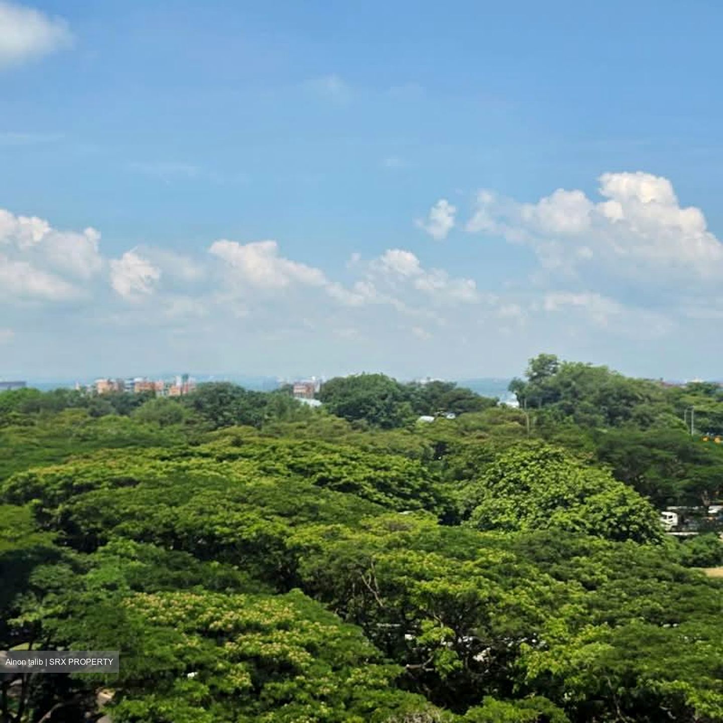 Blk 31 Marine Crescent Ville (Marine Parade), HDB 3 Rooms #593251431